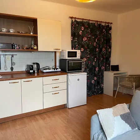 Podkrovni Byt 1kk Apartmán *