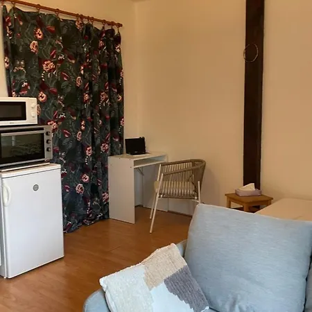Apartmán Podkrovni Byt 1kk